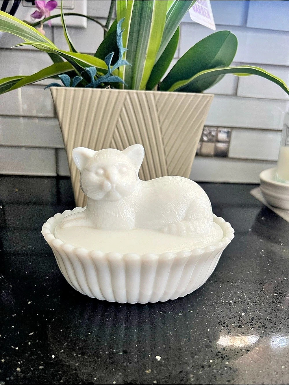 Westmoreland Cat on Ribbed Nest Covered Dish White